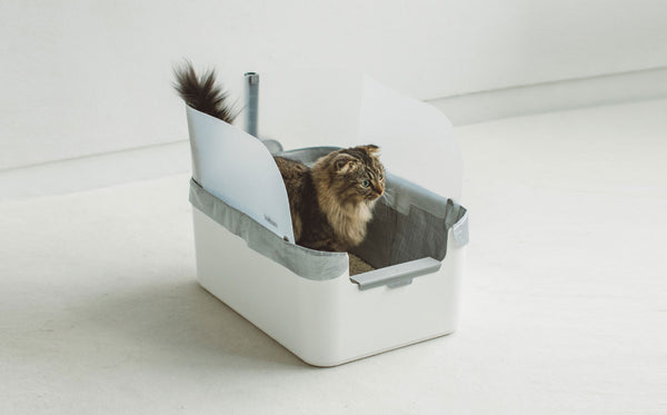 Cat spraying inside litter box best sale