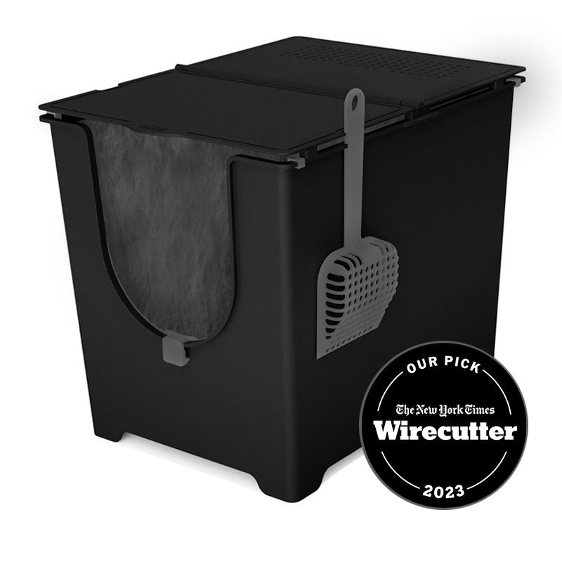 Black Litter box with lid