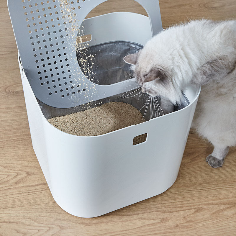 Modkat with open lid and cat peeking inside.