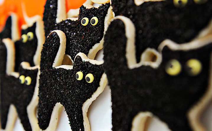 31 Party Animal Ideas for Cat Holidays
