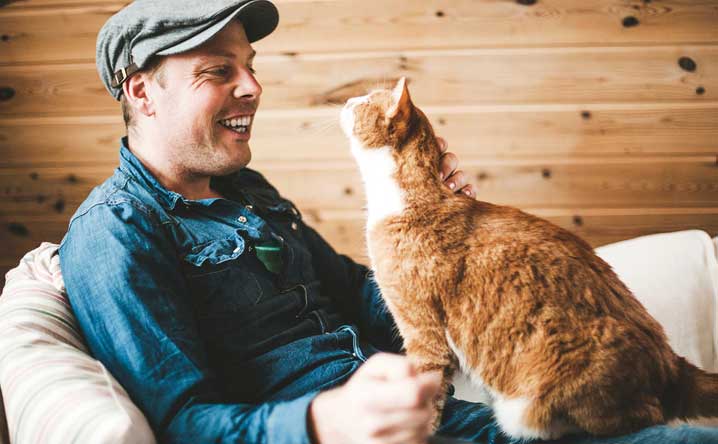 3 Tricks to correct a cat’s undesirable behavior.
