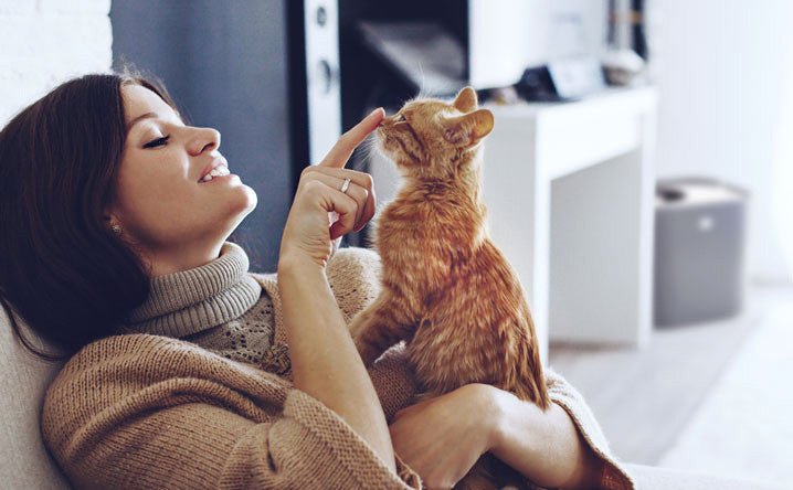 Feline Friends: How Cats at Home can Bring Joy and Happiness to Your Life - Health and Wellness of Cats