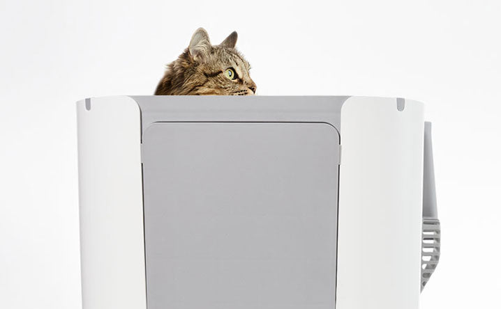 7 Benefits of a top-entry litter box.
