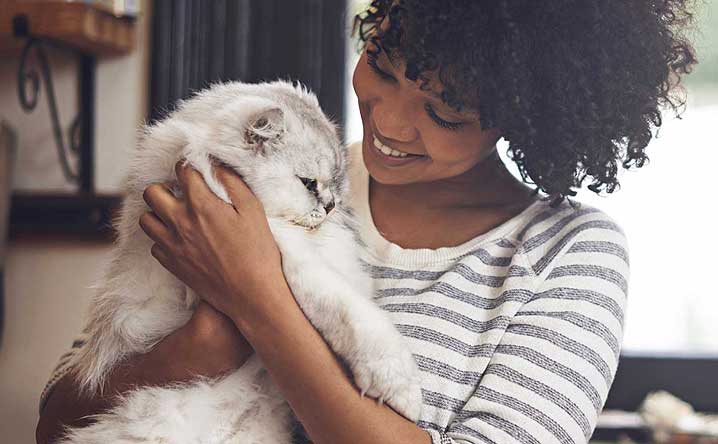 How can I help my cat be more affectionate?