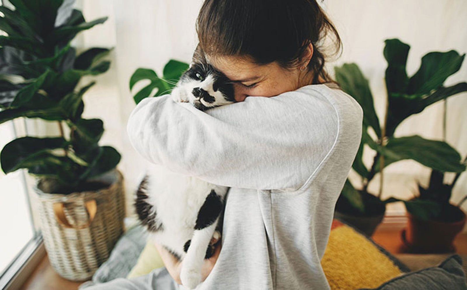 Best litter box tips for small apartments.