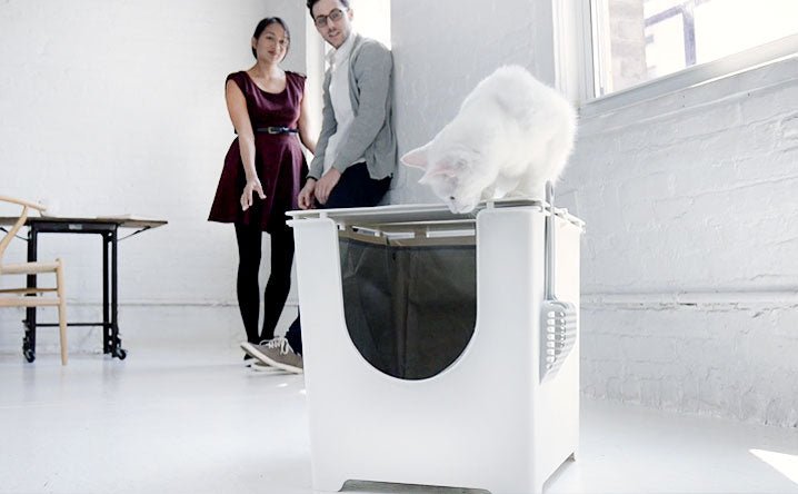 The Ultimate Guide For How To Train Your Cat to Use the Litter Box - Modkat