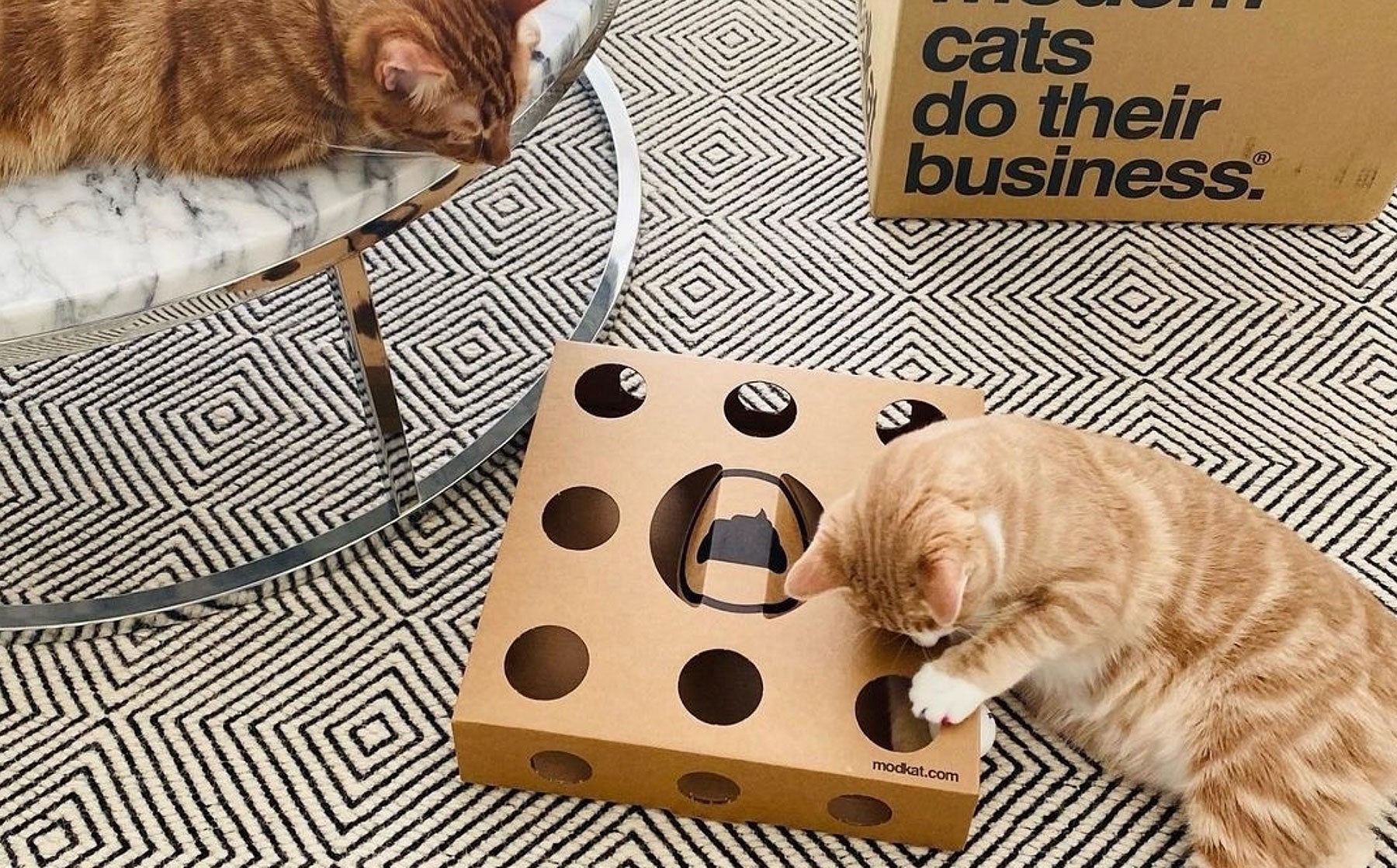 Toys, gadgets, and games for cats.