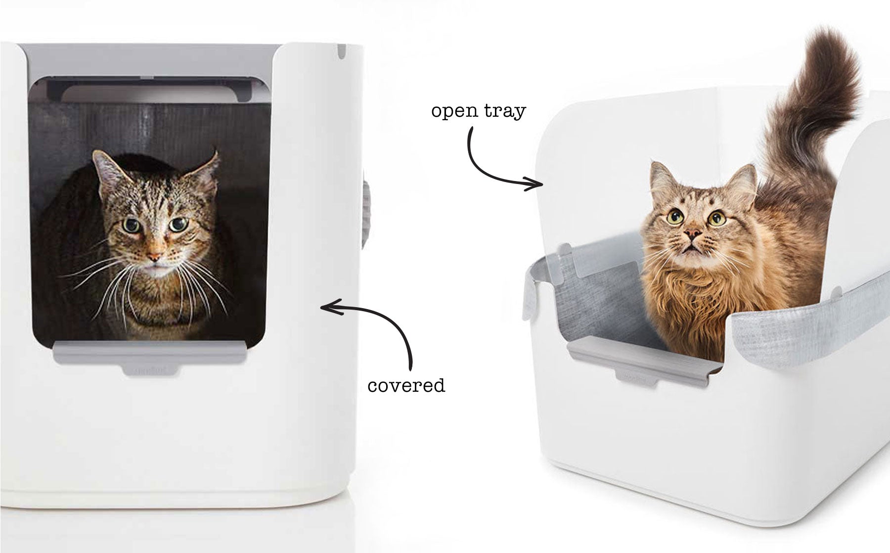 Covered or uncovered do cats really care? Modkat