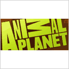 Animal Planet - Modkat