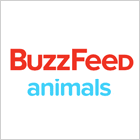 BuzzFeed animals
