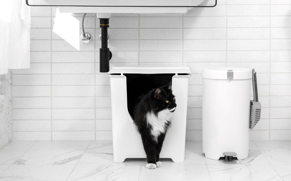 6 tips for improving your cat’s litter box experience. - Modkat