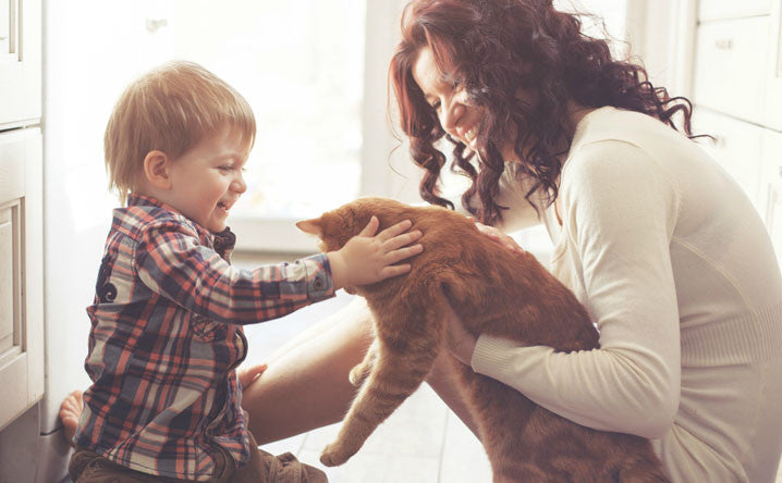 7 Tips for Helping Cats and Kids Bond