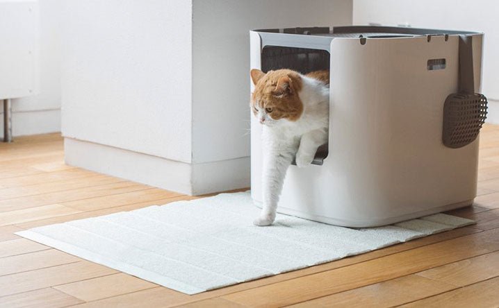 How to choose the appropriate litter box mat. - Modkat
