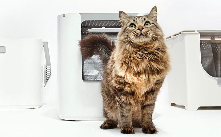 How to upgrade your home with modern litter boxes. - Modkat