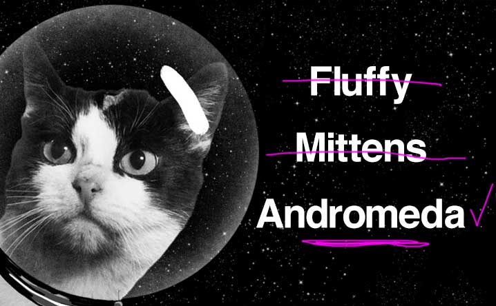 Out-of-this-world cat names.