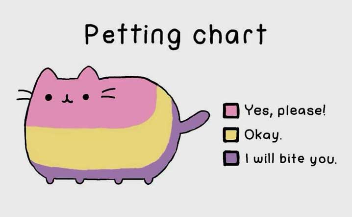 Cat petting chart meme