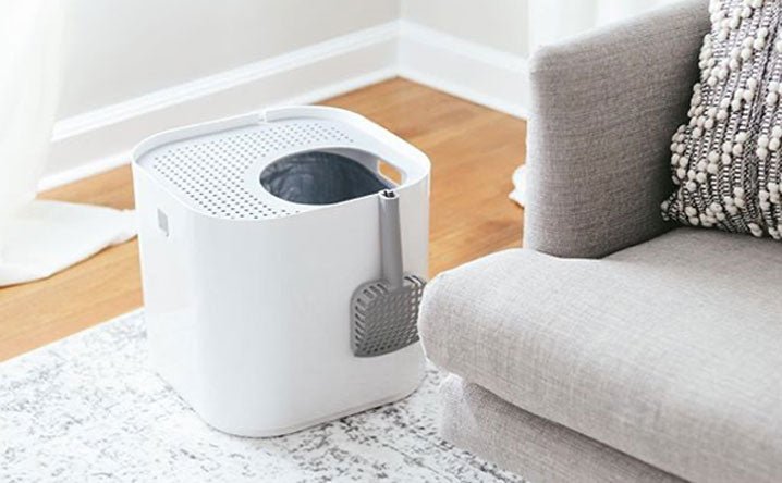 10 safe spring cleaning tips for cat lovers. - Modkat