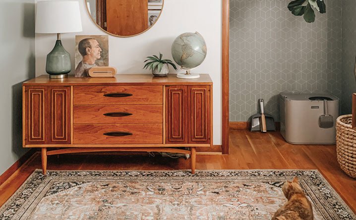 Clean kitty 101: how to stop litter tracking around your home. - Modkat