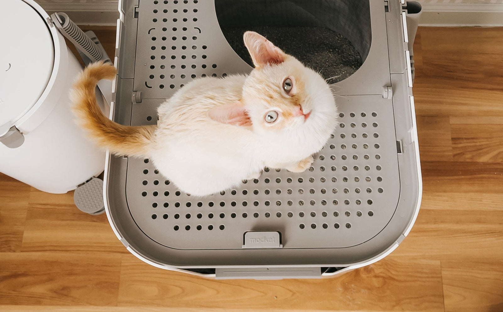 Your litter box shouldn’t need tech support.