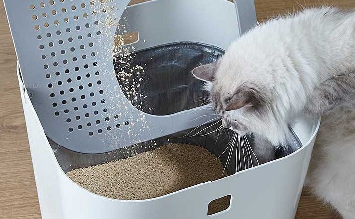 7 answers to your top litter box maintenance questions. - Modkat