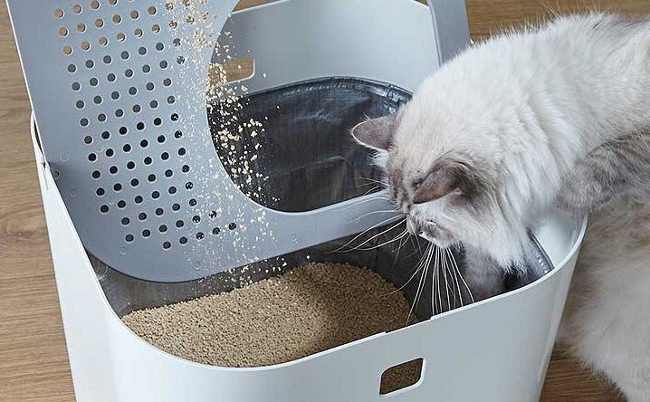 7 answers to your top litter box maintenance questions. Modkat