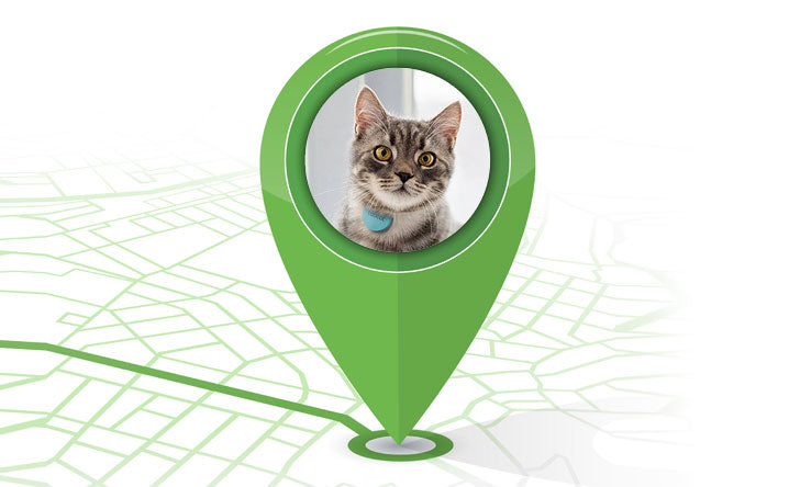 Can you GPS your cat?