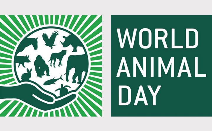 Speak up and act for our animal friends on World Animal Day.