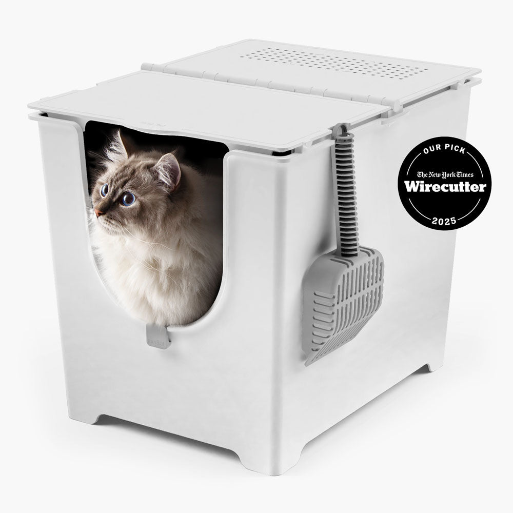 Litter Boxes | Best Cat Litter Boxes | Modkat