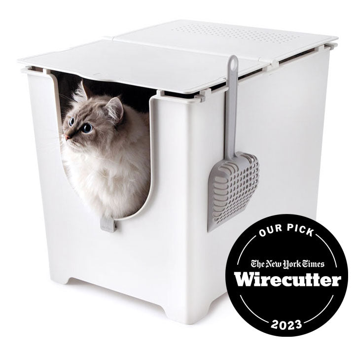 Why are some cats lap cats and others are not? Modkat