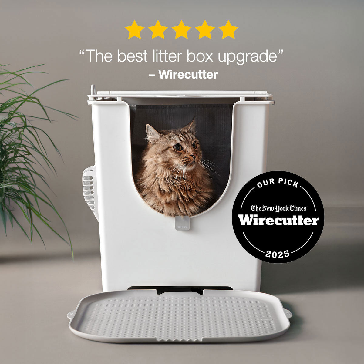 Modkat Flip Litter Box - The Best Lidded Cat Box
