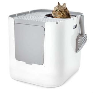 Cat poking his head out the top of a white Modkat XL Litter Box