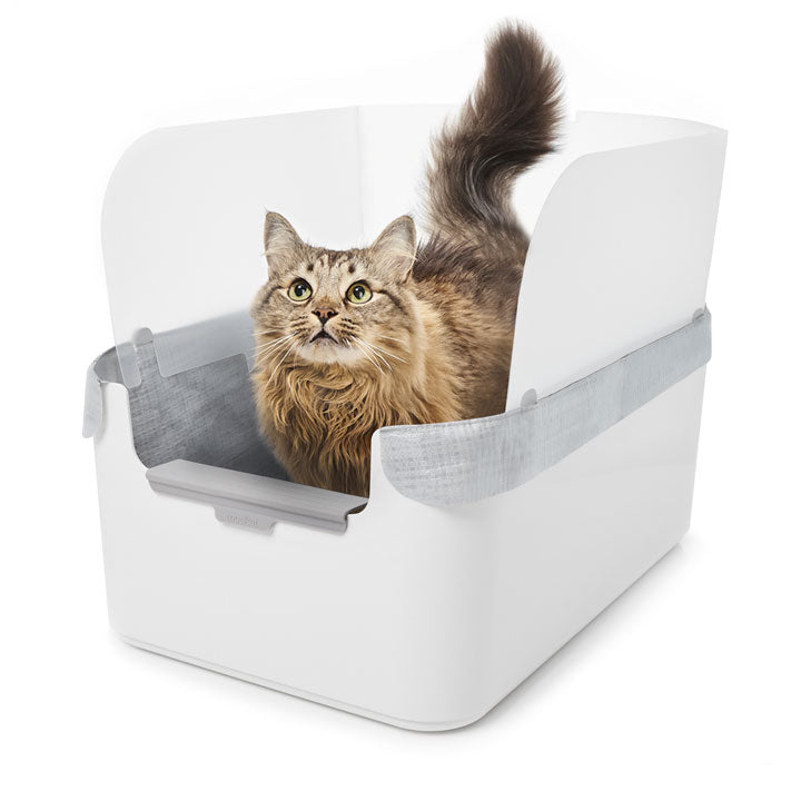 PlasticForte cat litter tray and cat flap (assorted colors) – Comercial Mida