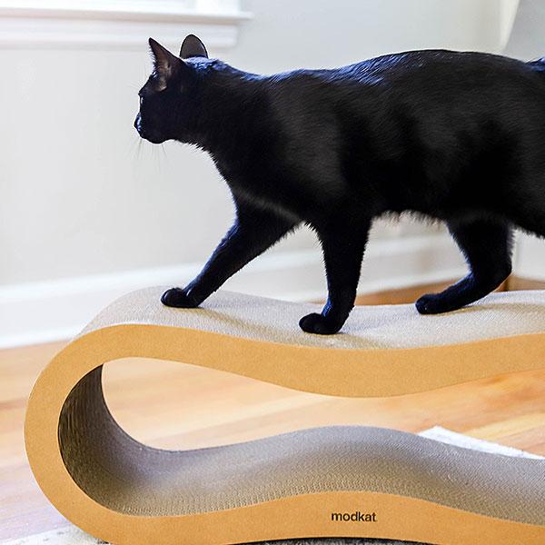 Black cat walking on Modkat Cat Scratcher
