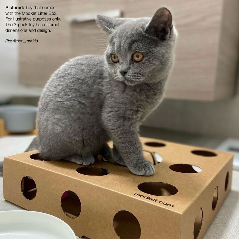 Cat sitting on Modkat Cat Toy Box