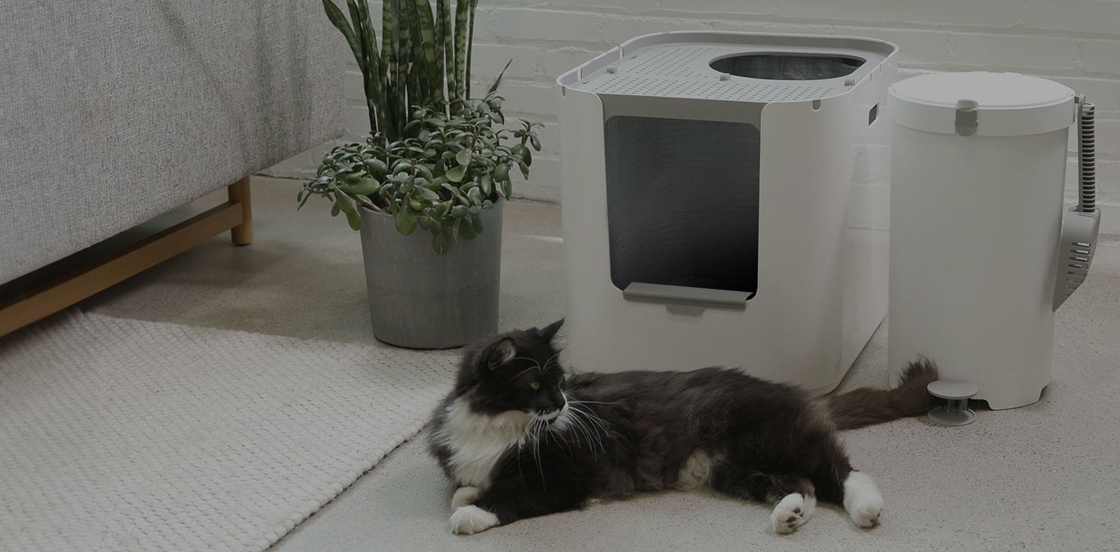 Modkat® - Where modern cats do their business.®