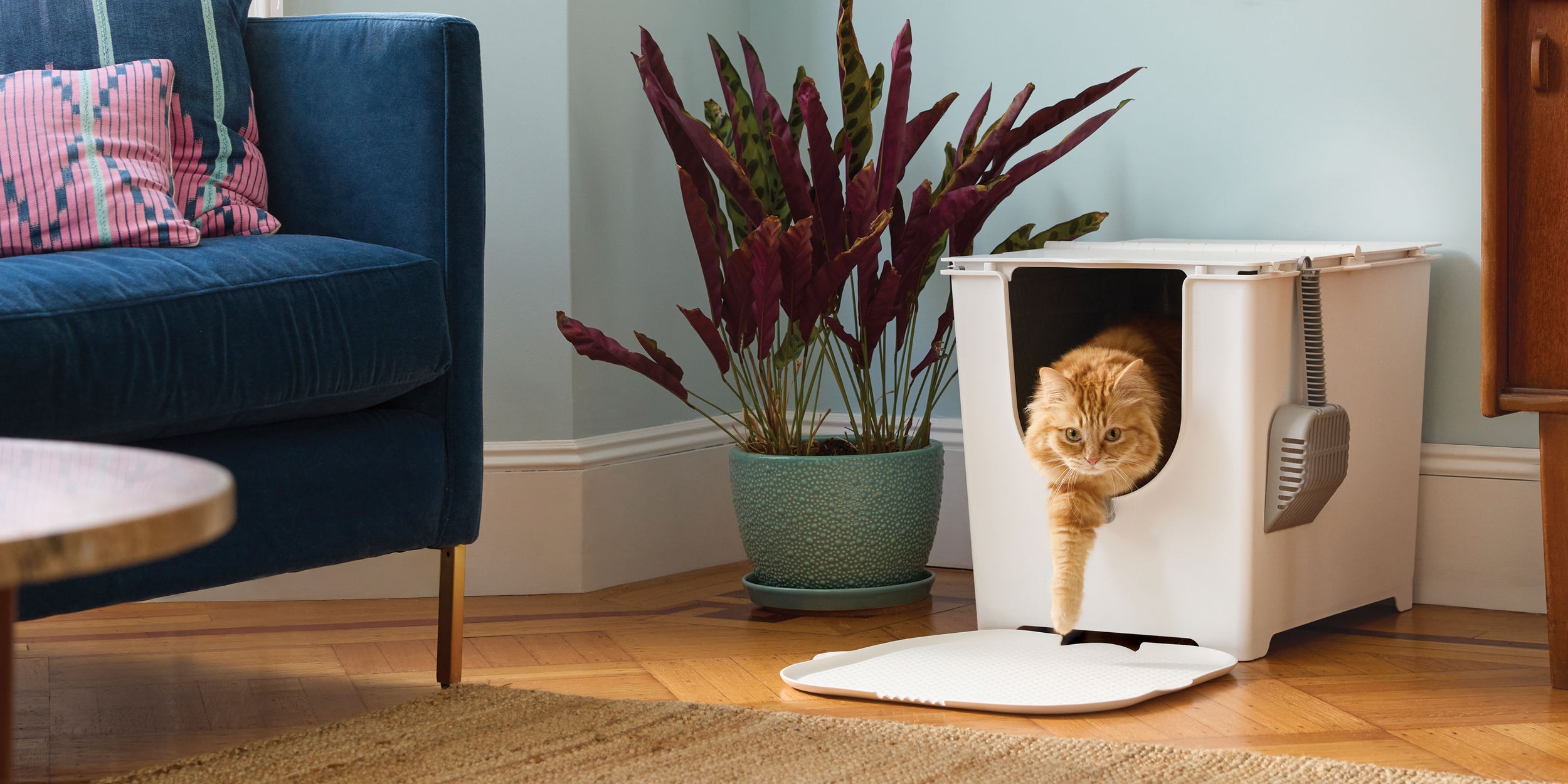 Modkat® - Where modern cats do their business.®