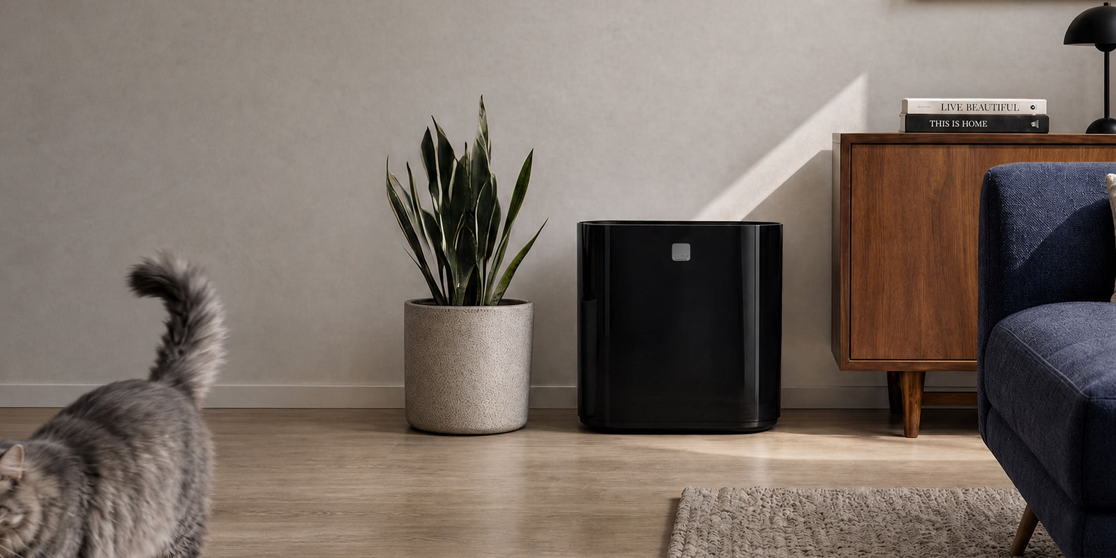Modkat Litter box in black in a modern interior with cat