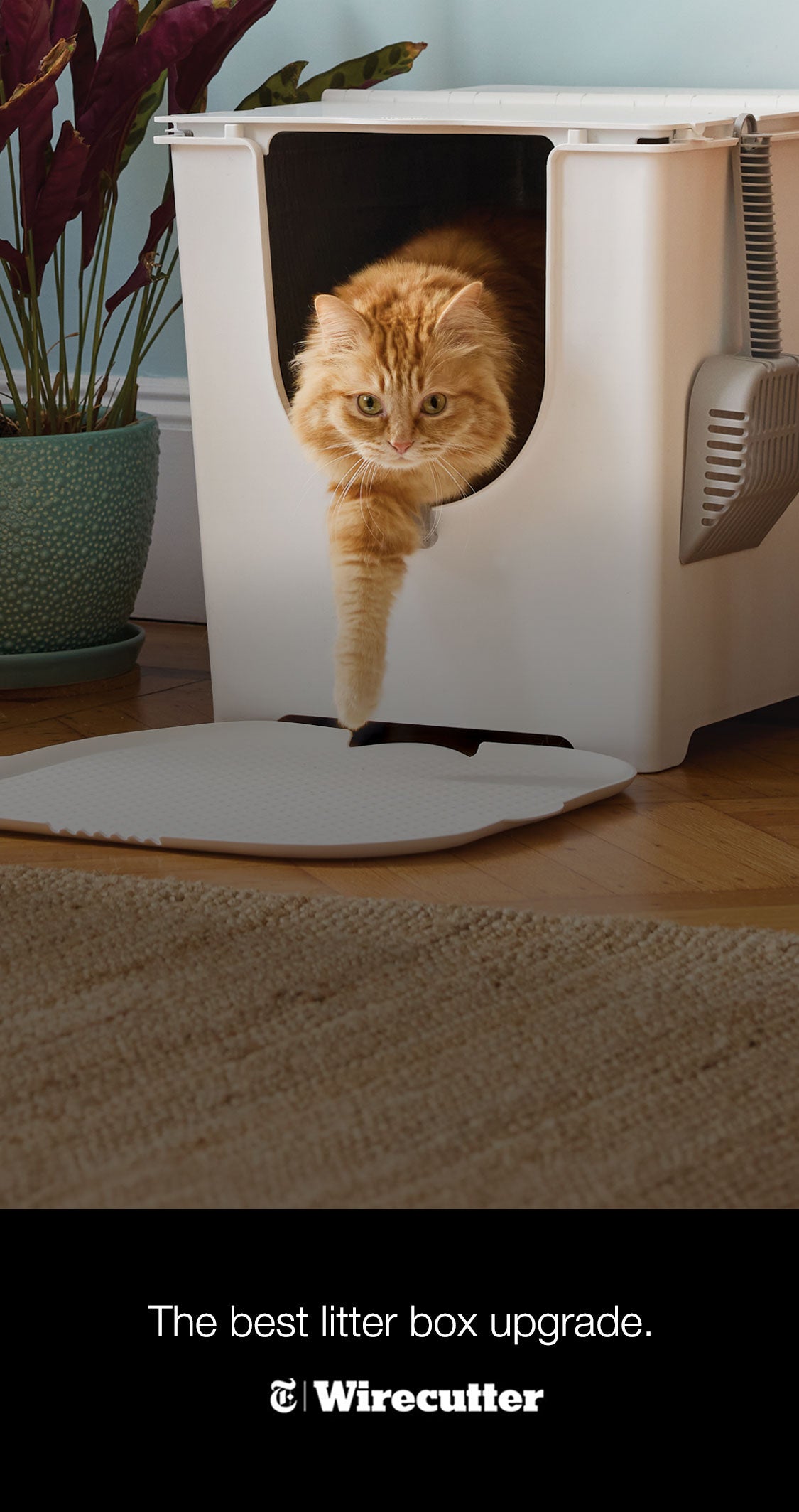 Modkat® - Where modern cats do their business.®