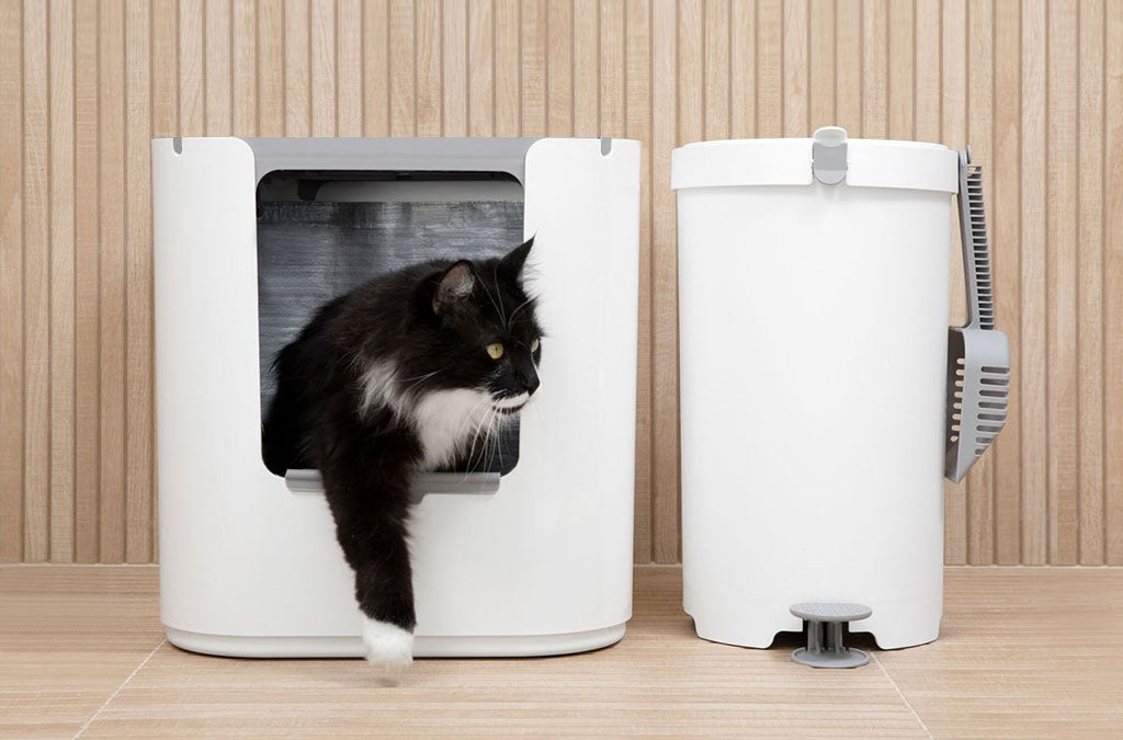 Litter Boxes Best Cat Litter Boxes Modkat