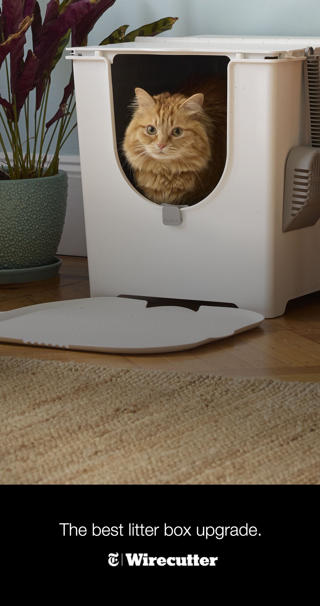 Modkat® - Where modern cats do their business.®