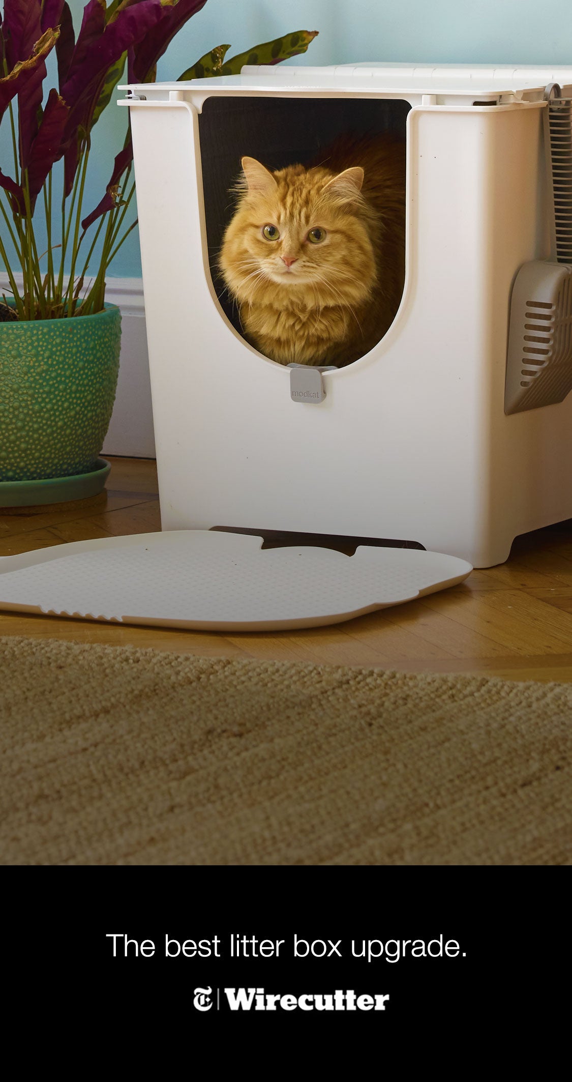 Modkat® - Where modern cats do their business.®