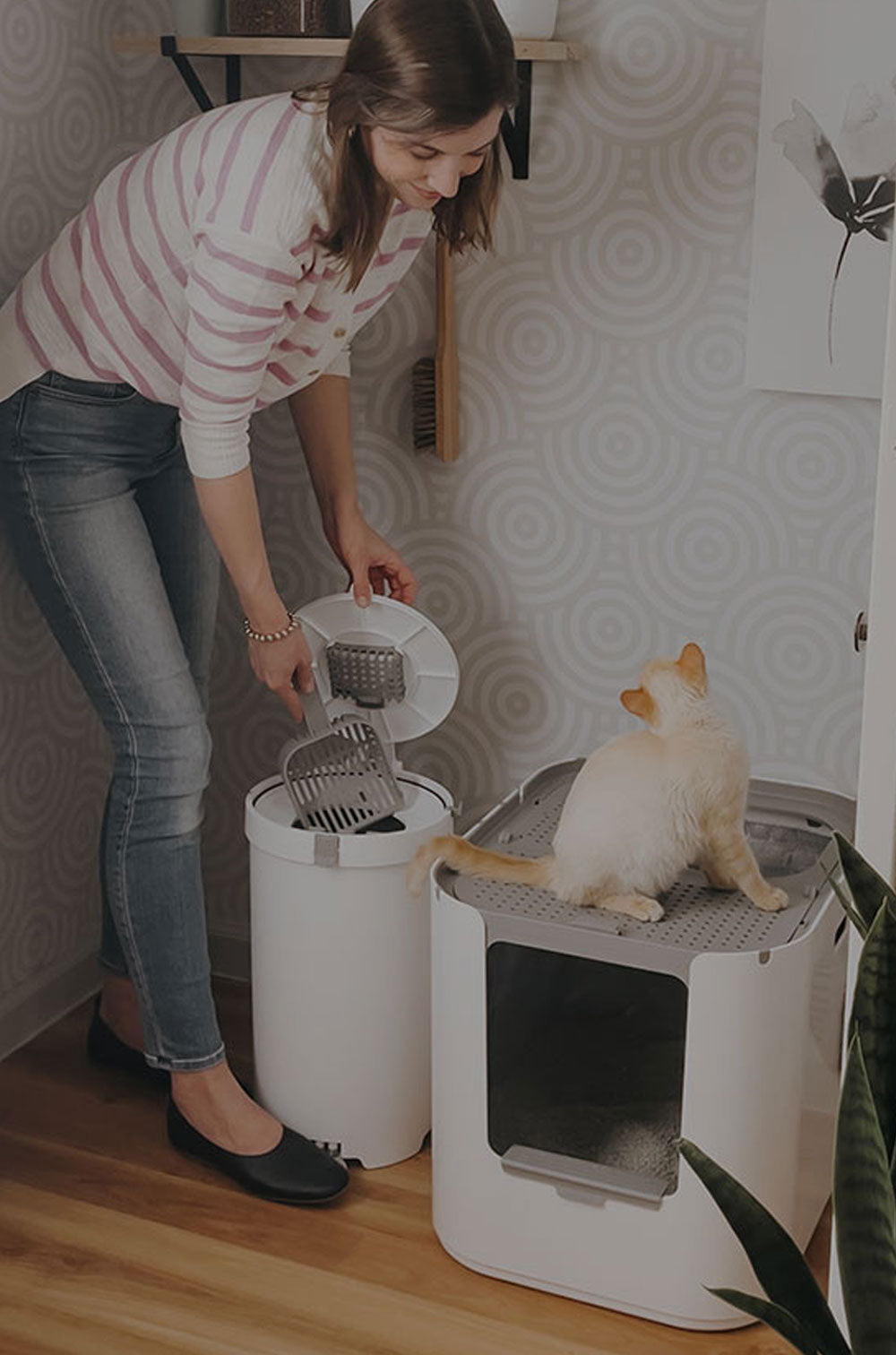 Modkat® - Where modern cats do their business.®