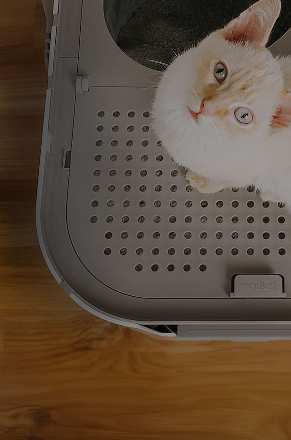 Modkat® - Where modern cats do their business.®