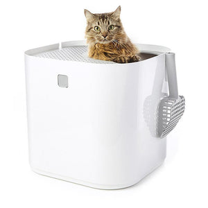 How to get a cat to use a top entry litter box hotsell