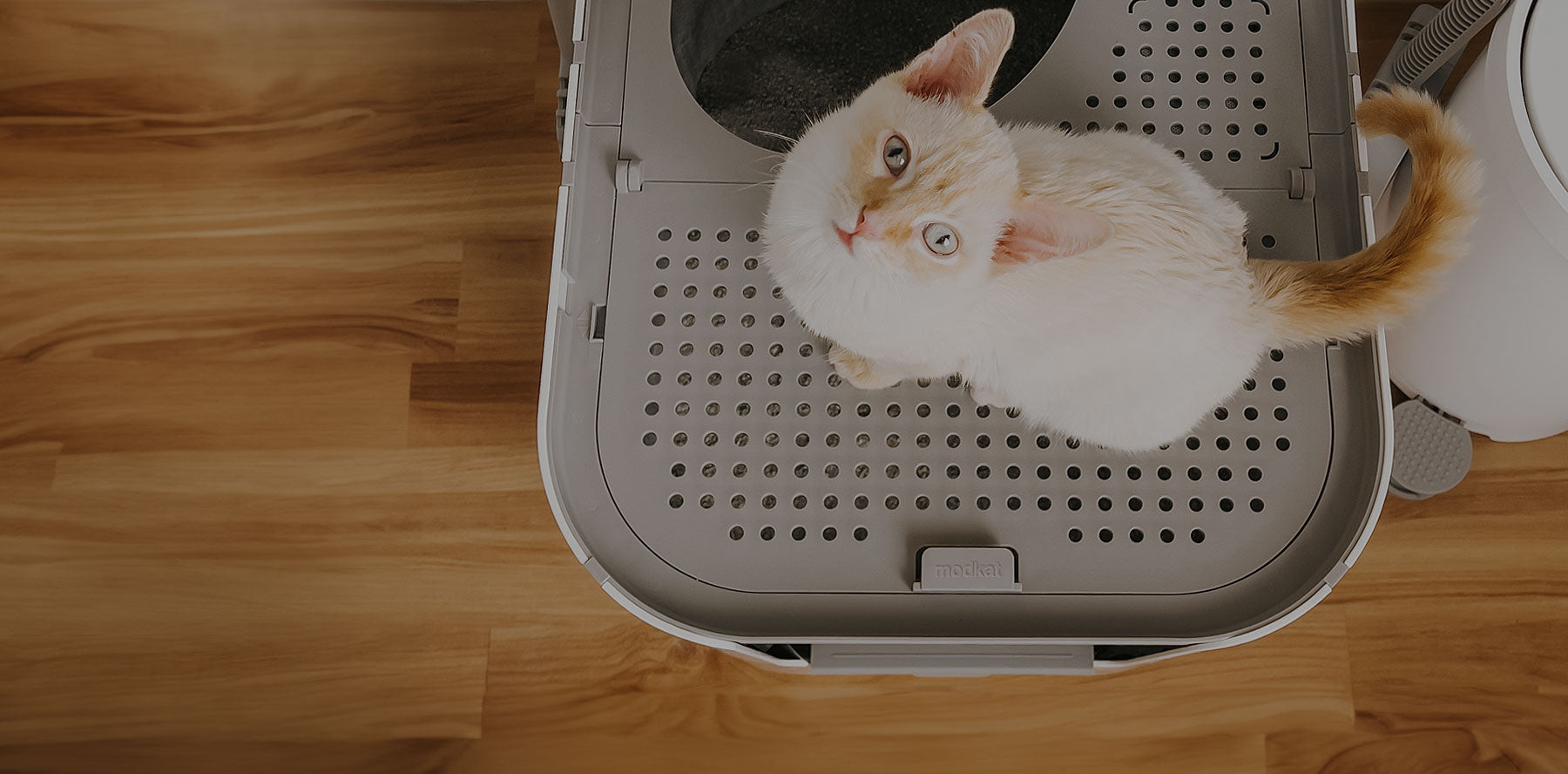 Modkat® - Where modern cats do their business.®