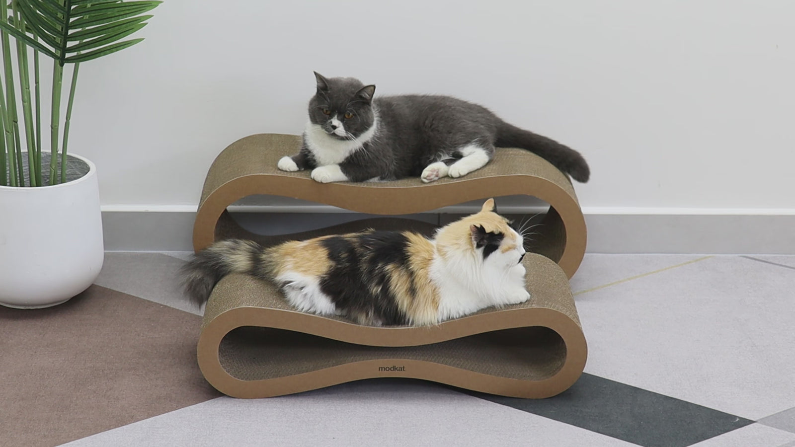Cat Scratcher Lounge Set