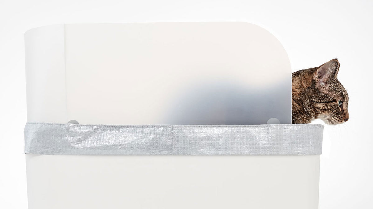 High Sided Litter Box Tray High Wall Litter Box Modkat