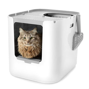 Cat poking his head out the front of a white Modkat XL Litter Box