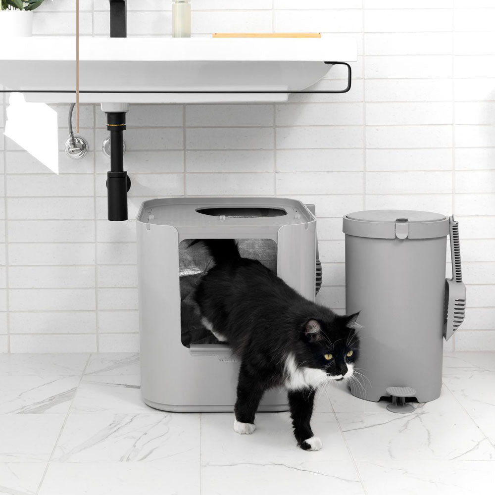 Black cat walking out of a white Modkat Extra Large Litter Box in a bathroom