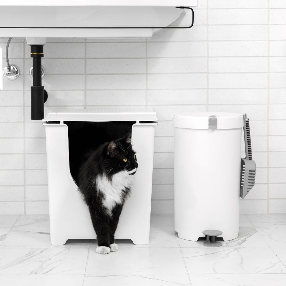 A black cat walking out of a White Modkat Hooded Flip Top Litter Box